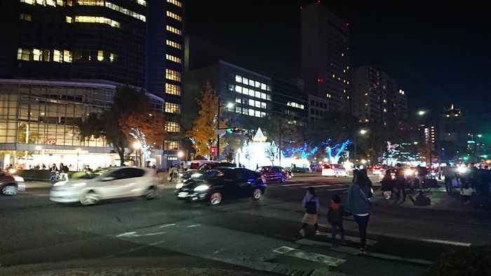 広島市中区平和大通り（東側：田中町交差点～西側：平和大橋東詰）冬のひろしまでイルミネーション開始